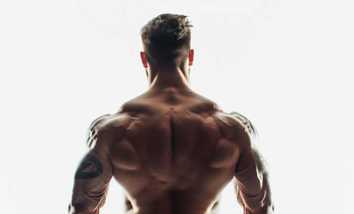 Pro Bodybuilder Hormone Checkup | Optimize Recovery & Growth